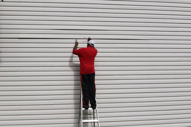 Best Custom Trim and Detailing for Siding  in Port Hueneme, CA